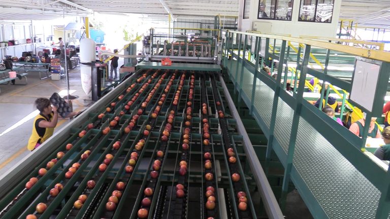 produce shipping inventory